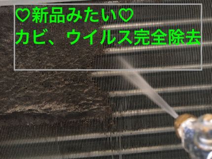 アイクリーンの業務用エアコン分解洗浄!中のカビやウイルスを完全除去!の写真