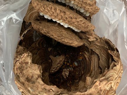バスタースリーの【早朝深夜もOK!】誠実に対応致します!の写真