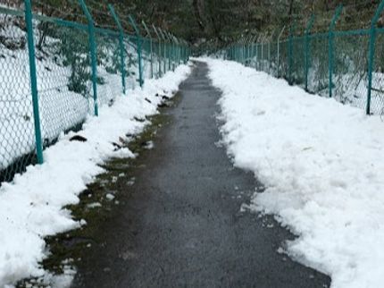 ブライトフューチャーサポートの宮城県密着◎雪かき・雪下ろし代行の写真