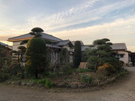 東 園の植木 刈込み 剪定の写真