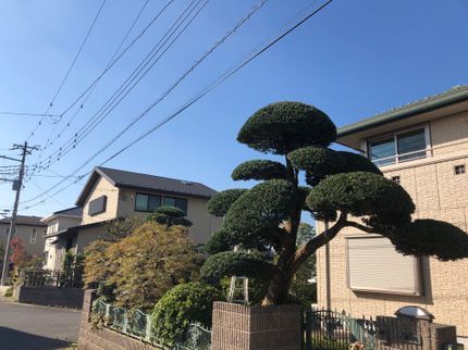 東 園の【コロナ対策実施中】マスク着用【予約受付中です】【口コミ高評価】の写真