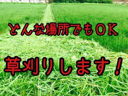 生活総合サービス まるもの【草刈り全般】 空き地 空き家 田んぼ 畑どこでも可能☆お庭の雑草にお困りの方!の写真