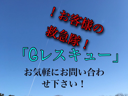 Gレスキューの【関東エリア】年間400件以上の実績!ハチ駆除のプロフェッショナル!の写真