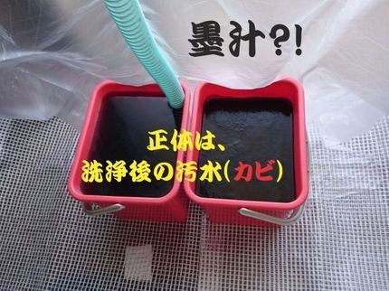 おそうじ革命 熊本北店 ★熊本1号店のPayPay可【2年連続オリコン1位2020~21年】お奨めサービスです!の写真