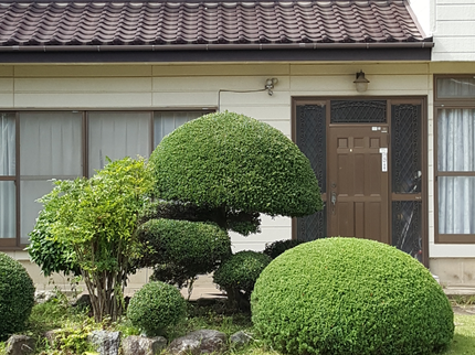 ヒュマンアシストのヒューマンアシスト 植木の剪定 茨城:千葉の写真