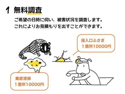 駆除コッコのハクビシン施工実績1000件の私が伺います。【調査見積もり無料】の写真