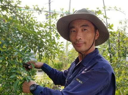 矢羽田ガーデン工房のお庭の事のおまかせ下さい! 1級造園技能士 県知事賞受賞 必ず私が伺います!の写真