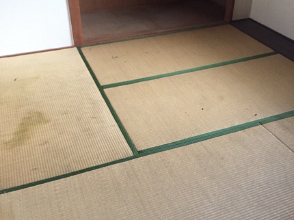 株式会社 誠信の《駐車場代は弊社負担・損保加入済で安心!》お客様に誠心誠意ご対応致します♪の写真