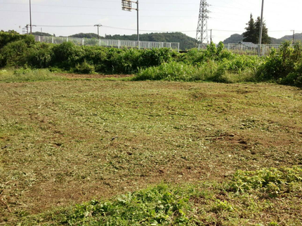 ミラクルおそうじのお庭や畑回り、アパートの共有部分や空き家などの草刈り。土日対応で実績多数あり。の写真