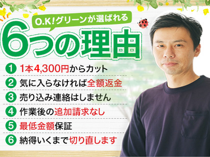 O.K!グリーンの■主婦絶賛■なんと!植木の剪定と処分がすべてコミコミで1本¥4,300です!の写真