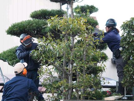 湘南彩苑の【合同会社湘南彩苑】庭木の剪定・除草・伐採・外構工事のことならお任せください!の写真