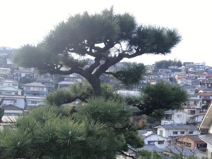 真企画の<年中無休>長崎市発!ご要望に合わせて丁寧に対応します!お気軽にご相談ください。の写真