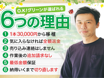 O.K!グリーンの■主婦絶賛■なんと!植木の移植がすべてコミコミで1本¥30,000です!の写真