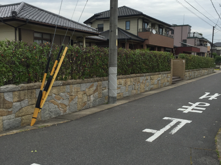 MIZUTANI GARDENの【業界18年!経験豊富なプロが伺います!】営業時間外の予約も相談可能です。の写真