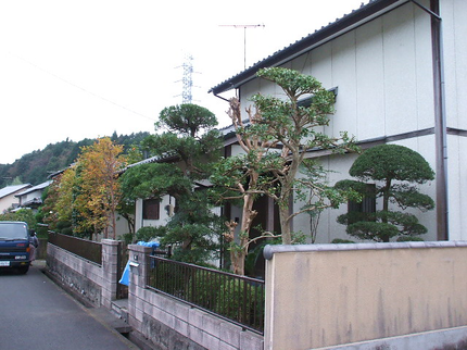 便利屋レッツの茨城の植木剪定は昭和55年創業・信頼と実績の便利屋レッツにお任せ下さい。の写真