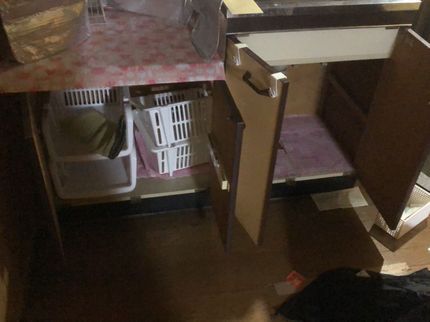 便利屋 多久美の小さな虫駆除及び予防策提案プラス1サービスさせて頂いております。24時間OKですの写真
