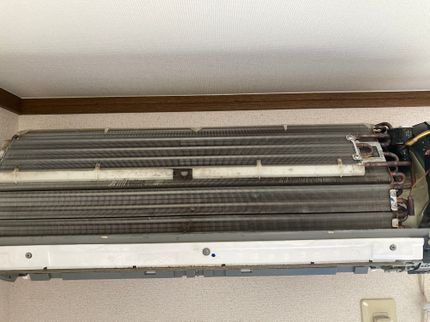 知多クリーンの【最短予約は7月26日から】まじめにお掃除【女性スタッフ希望も承ります。】の写真