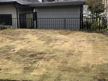 便利屋!お助け本舗 栃木真岡店の芝張りお受けいたします!!の写真