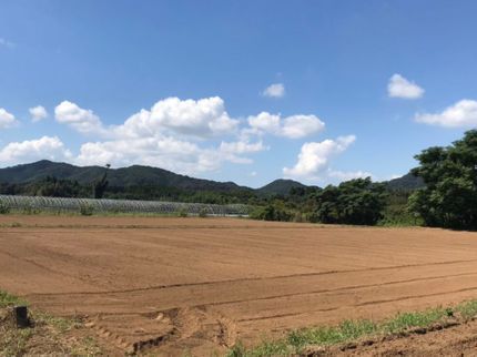 草刈まさ王の<年中無休365日営業>庭木の伐採・抜根致します。専門スタッフが迅速対応◎の写真