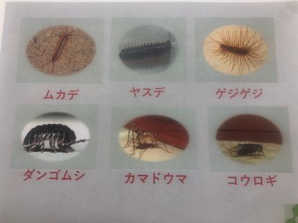アイランドサポートのシロアリ(防蟻工事)の写真