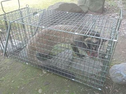 K's工房の誠実、安心をモットーに活動しています!現地無料見積り致します!の写真