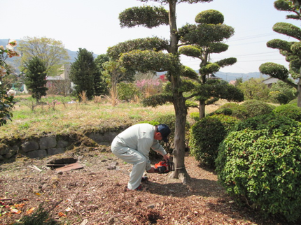 國武造園緑化の【お客様の喜びが一番】※丁寧に伐採作業して、後片ずけを行います。お気軽にどうぞ。の写真
