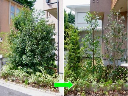雪 花 園の新春キャンペーン★お庭の悩みお任せ下さい。1級造園技能士がご要望にお応えします!の写真