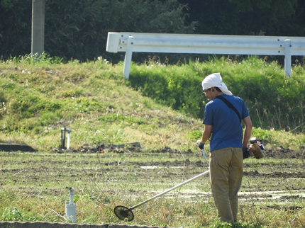 WORKS TSUKUBAのつくば発!静音電気式所持!実家は農家の店長の草刈り、除草管理!の写真