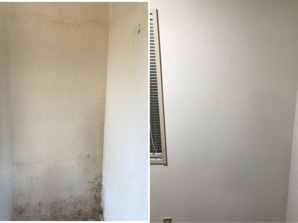 田中清掃商会の壁紙・クロスの再生カラーリングの写真