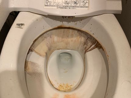 ロトウィッシュの歌にもなったトイレは綺麗にしておくべきです。の写真
