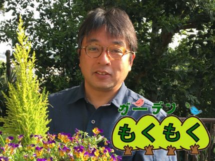 ガーデンもくもくの【年内受付中】植え替え、新規の樹木についてなんでもご相談下さい★土日祝対応の写真
