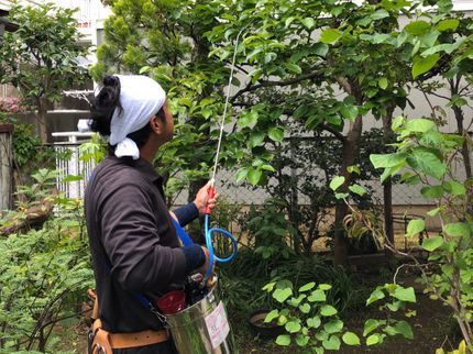 御庭屋 庭好の《植木屋を始めてから10年目》神奈川県を中心に対応中◎の写真