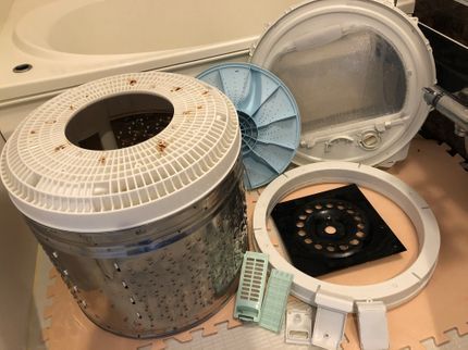 サンキューの◉キャンペーン割引期間限定!【カビ!ウイルスに特化】◉赤ちゃんも安心eco洗剤◉の写真
