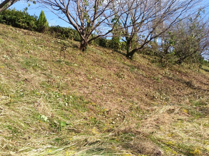 閑庭苑の仕上がりに自信あり!芝刈りも可の写真