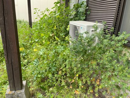 GREEN BASEの【PayPay加盟店】ゴミ回収もお任せ♪ついでに防草シート施工→砂利敷きもOK!の写真