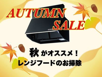 ハウスエースの■PayPay支払いで1000円キャッシュバック!13000円→12000円■の写真