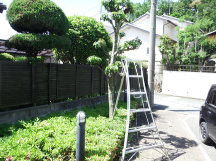 グリーンプロジェクトの【業歴30年の造園施工管理技士が伺います!】年中無休なのでいつでもご予約可能!の写真
