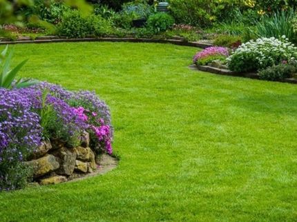 green gardenの☆年中無休☆の写真