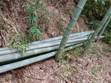 武島建装の【100%自社対応】業界歴22年の実績◆年中無休営業◎豊富な経験と知識で安心!の写真