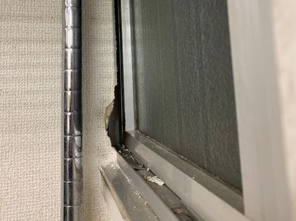 アクトスリーのネズミ駆除★女性スタッフ指定OK◎ネズミ被害のお悩みならご相談ください!の写真