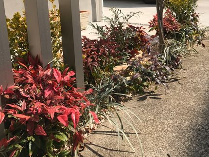 Garden彩の【10年の実績】作業外注一切なし◎すべて自社対応です!の写真