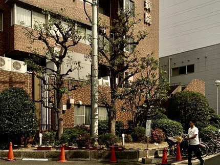 ツリーガーデンの個人宅 企業 店舗 マンションなどの植栽管理ならお任せください!!の写真
