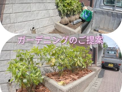 湘南彩苑の小さな花壇植栽、プランニングから大きな庭木の植栽お任せください!完全自社施工!の写真