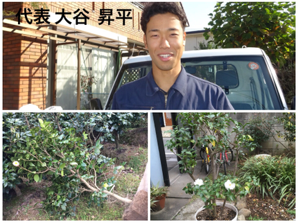 湘南彩苑の完全自社施工 シンボルツリー等の庭木植込み作業費10,000円+庭木代の写真