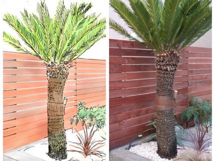 湘南彩苑の小さな花壇植栽、プランニングから大きな庭木の植栽お任せください!完全自社施工!の写真