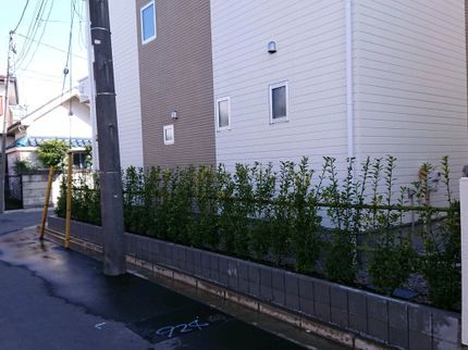 山中造園の植木の植え替え、移植、新規植栽などご相談ください低木から高木樹に対応しておりますの写真