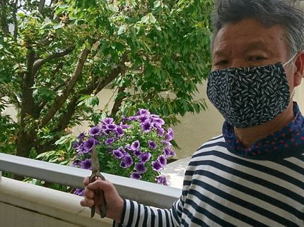 ガーデン パラダイス 佐助の★風薫る季節に、庭木の剪定で新たな陽射しを!★元服飾デザイナーの庭師です。の写真