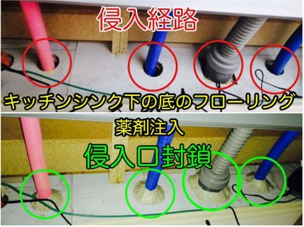 くらしの応援!蜂駆除サービス!の侵入経路封鎖!水回り、玄関、各部屋の散布が最も重要!3ヶ月保証も基本料金内!の写真
