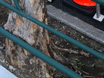 Arrow Gardenの☆業界歴20年☆外注作業一切なし!大手での経験も豊富です!の写真
