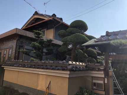ヘルプフルの【安心・丁寧】明るいスタッフがご要望に合わせて対応!安心の損害保険加入済み◎の写真